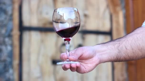 Man Shakes Glass Red Wine — Stock videók