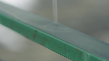 Raindrops falling on a green metal bar.