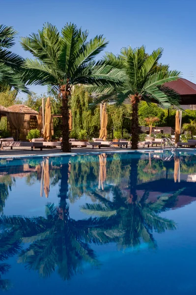 Tropik bir tatil köyünde güneşli yataklı ve palmiye ağaçlı bir otel havuzu. Lüks tropik tatil köyünde yüzme havuzu