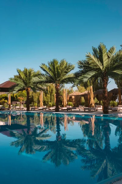 Lüks tropik tatil köyünde yüzme havuzu. Lüks tropikal tatil beldesindeki plaj salonlarıyla yüzme havuzu..