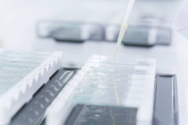 Laboratuvarda deney yapan bilim adamlarına konsantre ol. Tıbbi konsept. Corona virüsü salgını konsepti. Virüs tedavisi ilacının geliştirilmesi.