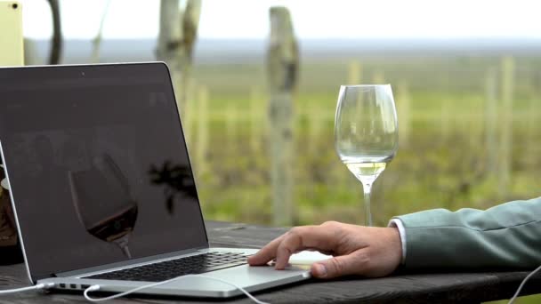 Man Holds Online Meeting Nature Glass Wine — Stockvideo