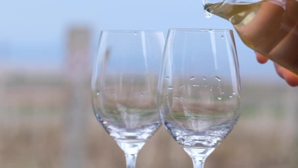 Офіціант Наповнює Два Келихи Білим Вином — стокове відео