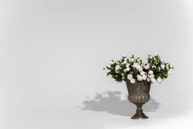 close-up shot of vase of white roses on white background