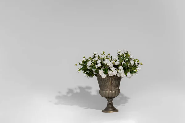 Close Shot Vase White Roses White Background — Foto de Stock