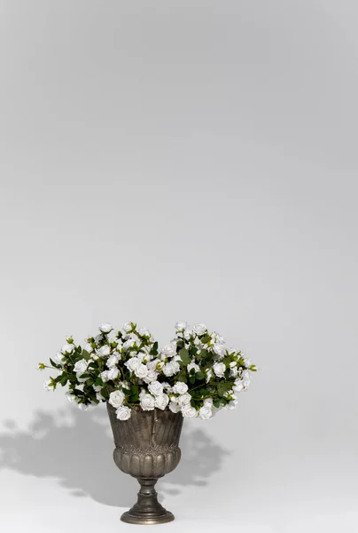 Close Shot Vase White Roses White Background — Stock fotografie