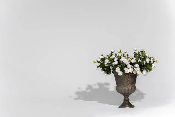 Close Shot Vase White Roses White Background — Stok fotoğraf