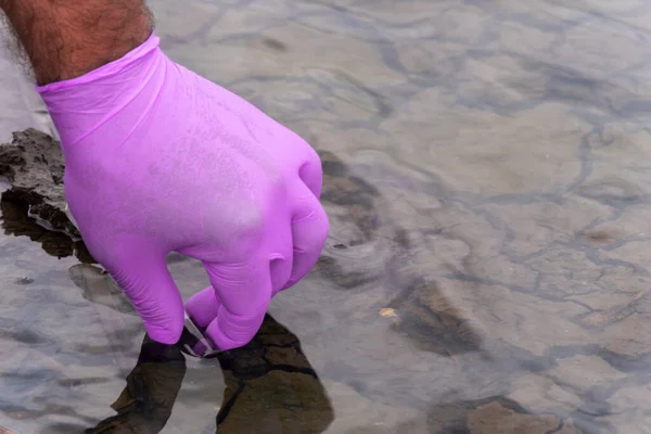 A water sample from the river. Hand in glove collects water in a test tube. ecology concept