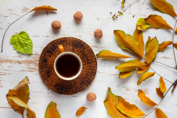 Thé Chaud Sur Table Avec Des Feuilles Séchées Des Noix — Photo