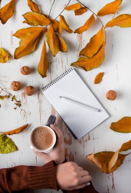 Sarı yapraklı, cevizli ve kalemli eski püskü kahve bardağını tutan kadın ellerinin üst görüntüsü.