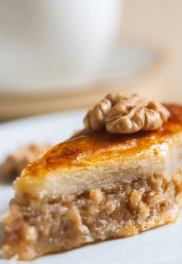 Ev yapımı fındıklı ve ballı baklava. Doğu mutfağı.