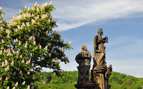 Статуя святых Варвары, Маргарет и Елизаветы на Карловском мосту — стоковое фото