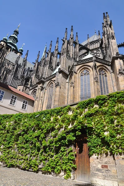 Praga Cattedrale di San Vito a Hradcany — Foto Stock