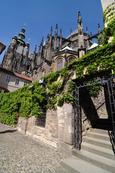 St. vitus kathedraal in Praag — Stockfoto