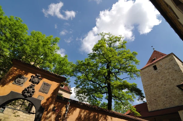 Staré ulice a slavný dům v Praze — Stock fotografie