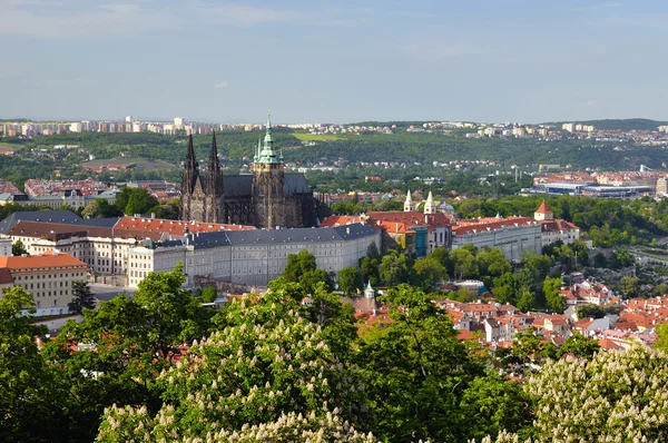 View of Prague city from Petrin tower — Stock Photo, Image