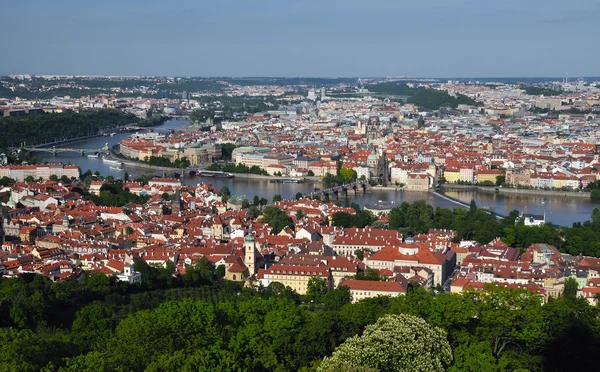 布拉格城市从 petrin 塔的看法 — 图库照片