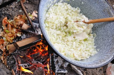 soğan ve domuz ateşte tencerede yağı