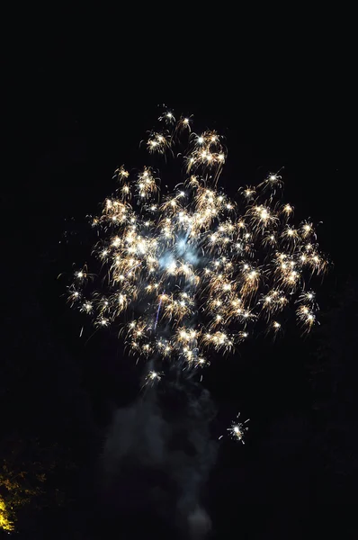 Fireworks in the night sky — Stock Photo, Image