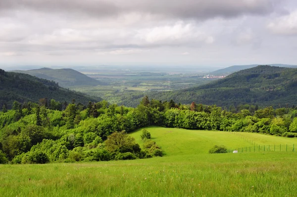 Natuur in het dorp vysoka, Slowakije — Stockfoto