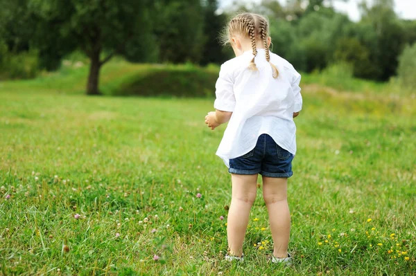 Liten flicka samla blommor på fältet — Stockfoto