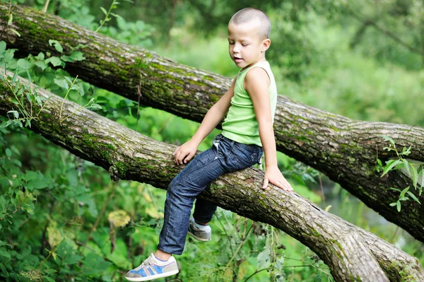 Chłopiec siedzi na gałęzi drzewa w parku — Zdjęcie stockowe