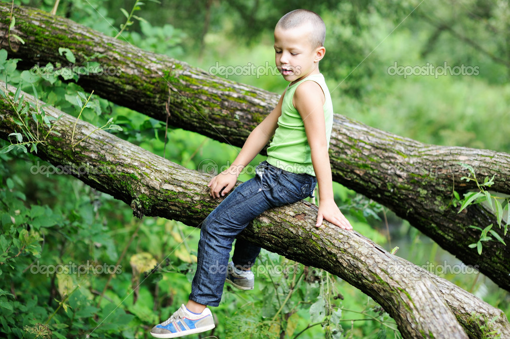 Boy sitting on a tree branch in park — Stock Photo © alinute 14494803