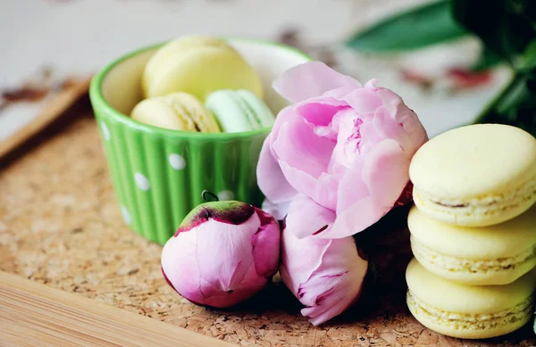 Still-life photo with cup, macaroons and peony — Stock Photo, Image