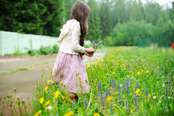 Klein meisje oppakken van zomerbloemen — Stockfoto