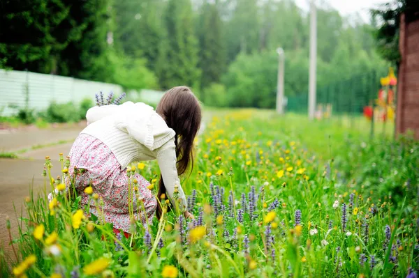 夏の花を摘みの少女 — ストック写真