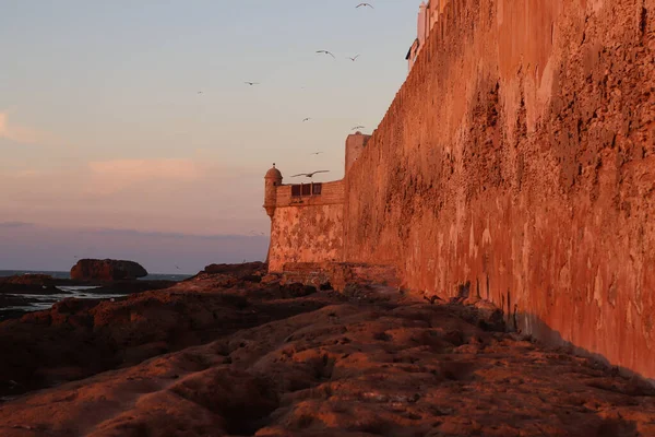 Fortress Old City Essaouira Coast Atlantic Ocean Morocco — Stockfoto