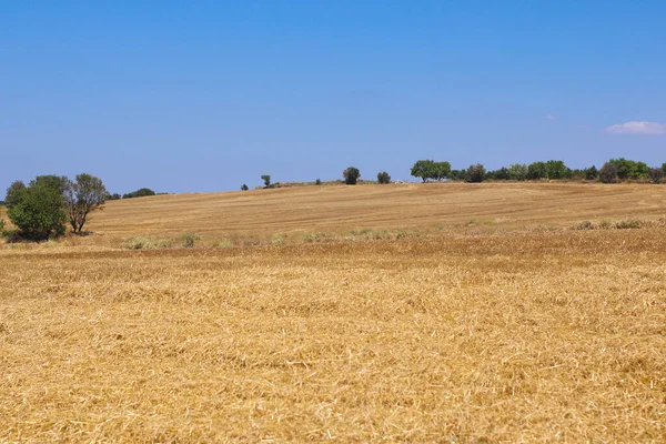 Fält Turkiet Nära Byn — Stockfoto