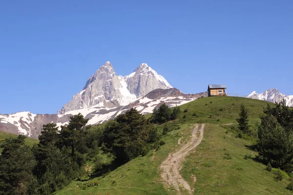 Ushba One Peaks Greater Caucasus Georgian Region Samegrelo Upper Svaneti — стоковое фото