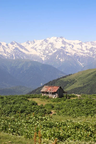 Fjell Øvre Svaneti Georgi – stockfoto