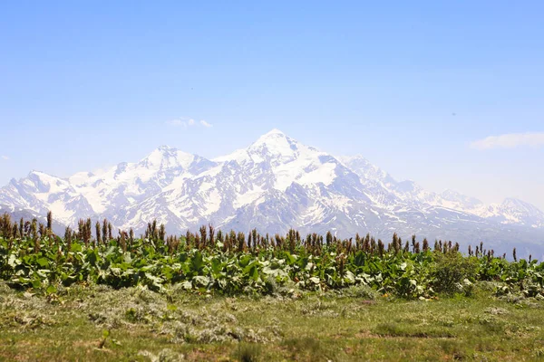 Горы Верхней Сванети — стоковое фото