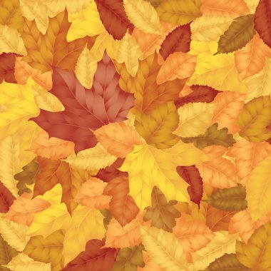 sonbahar yaprakları arka plan