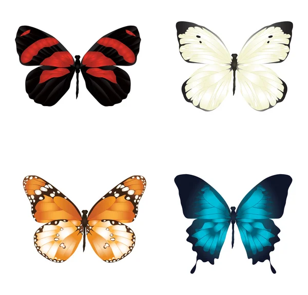 Farfalle vettoriali su sfondo bianco — Vettoriale Stock