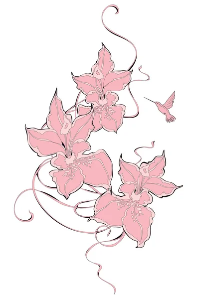 Orchid blommor vektor illustration — Stock vektor