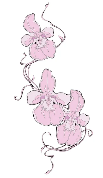 Ilustración vectorial rama orquídea — Archivo Imágenes Vectoriales