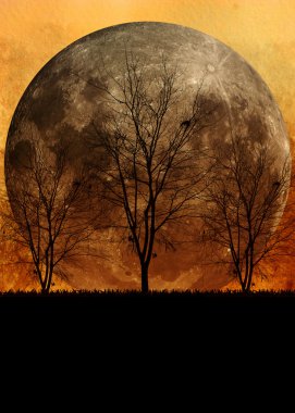 Cadılar Bayramı arka plan