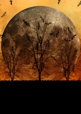 Cadılar Bayramı arka plan