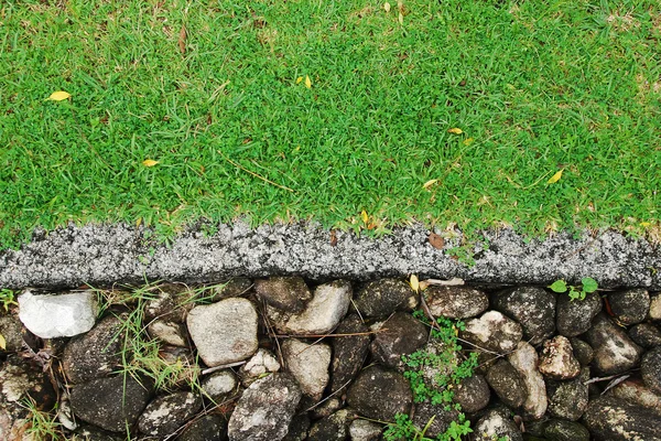 Stenen pad door een groene gras gazon — Stockfoto