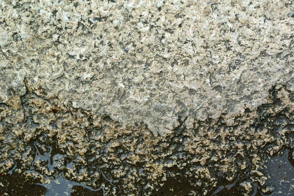 Textura de material de concreto útil como fundo — Fotografia de Stock