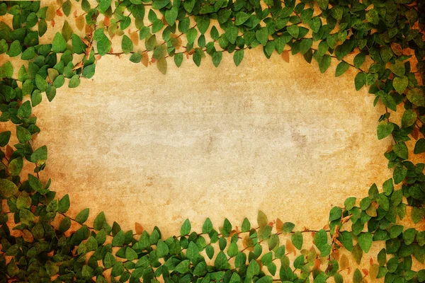 Green Fresh leaves frame on old paper vintage — Stock Photo, Image