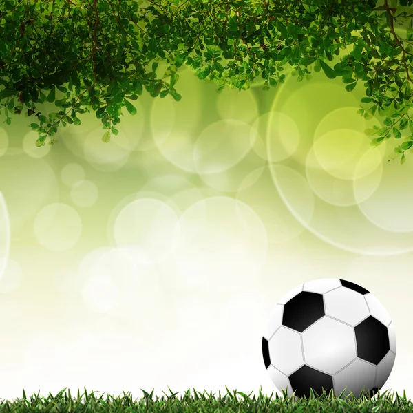 Ποδόσφαιρο στην πράσινη χλόη με φόντο πολύχρωμο — Φωτογραφία Αρχείου
