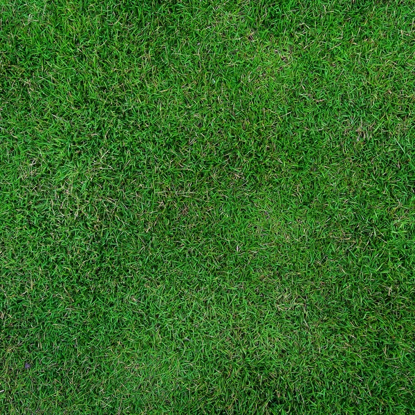 Groen grasveld voor voetbal — Stockfoto