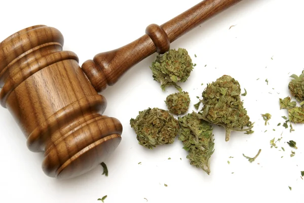Закон и марихуана — стоковое фото