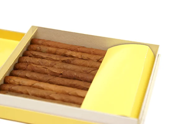 Pack cigarrer — Stockfoto