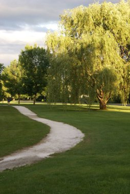 Temiz yeşil park alanının tadını çıkarmak için yürüyüş.