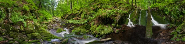 Beautiful Meander — Stock Photo, Image